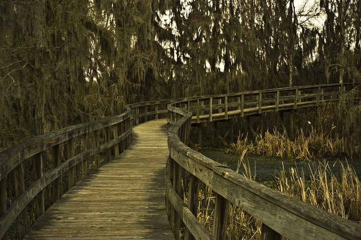 a wooden bridge over a body of water