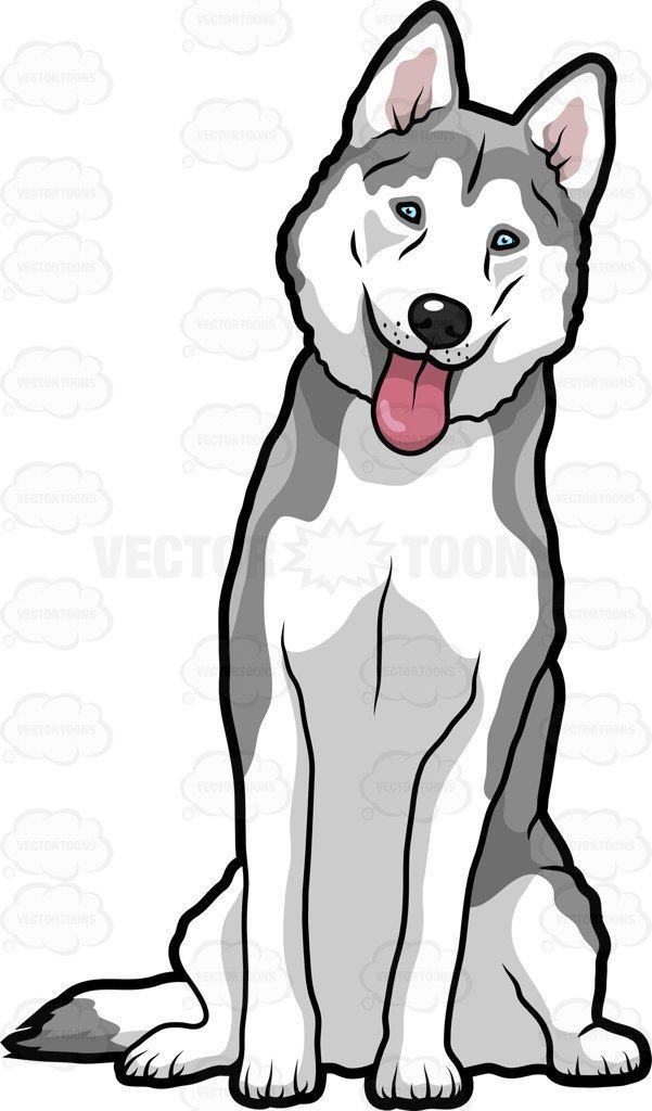 a husky dog sitting down with its tongue out and his tongue hanging out to the side