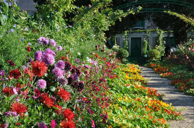 a garden filled with lots of colorful flowers