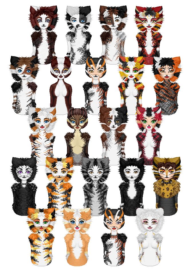 an image of many cats with different colors and patterns on their faces, all in the same