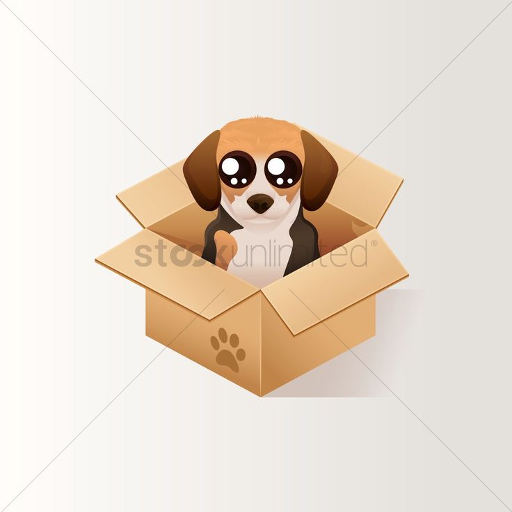 a dog in a cardboard box with eyes open and paw prints on the bottom half