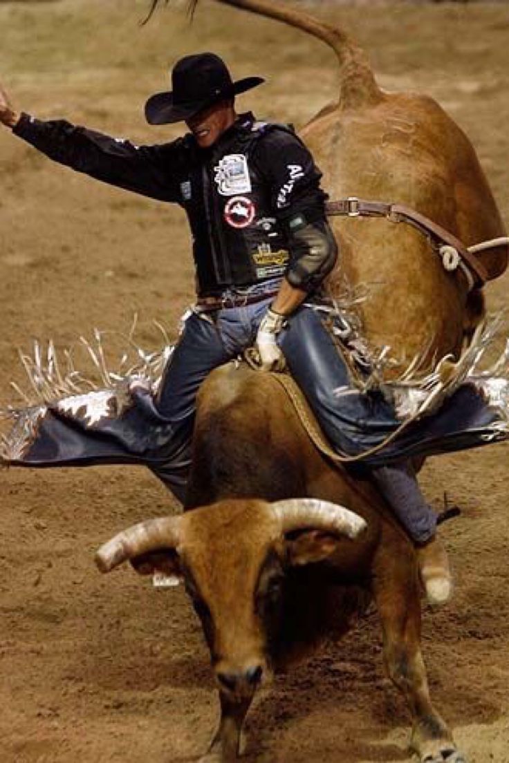 a man riding on the back of a bull