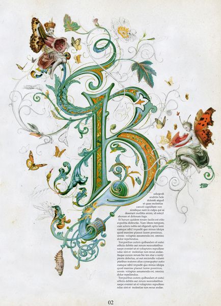 the letter b is surrounded by butterflies and flowers in this ornately designed alphabet poster