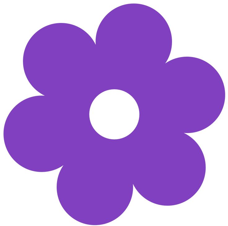 a purple flower on a white background