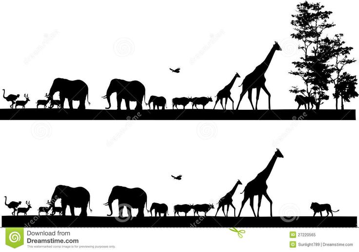 the silhouettes of animals in different positions on a white background stock photo image and royalty