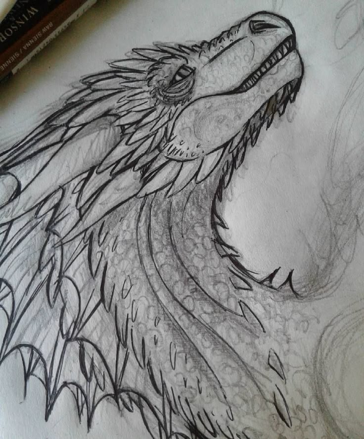 Pin by April DeBry on art | Dragon sketch, Dragon art, Dragon artwork