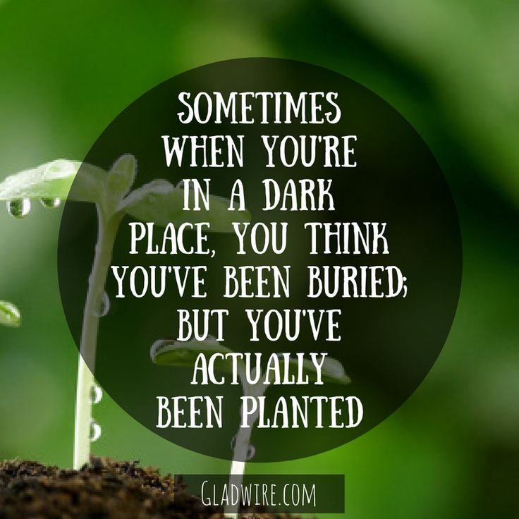 "Sometimes when you're in a dark place, you think you've been buried; But you've actually been planted." For more inspiring and motivating quotes, click on the image above! Strength Quotes For Women, In A Dark Place, Motivating Quotes, Inspirational Motivational Quotes, Strength Quotes, Boss Girl, Text Background, Dark Places, Quotes About Strength