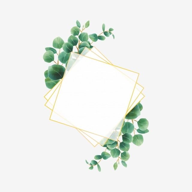 Download Eucalyptus Leaf Frame Style Watercolor, Eucalyptus, Frame ...