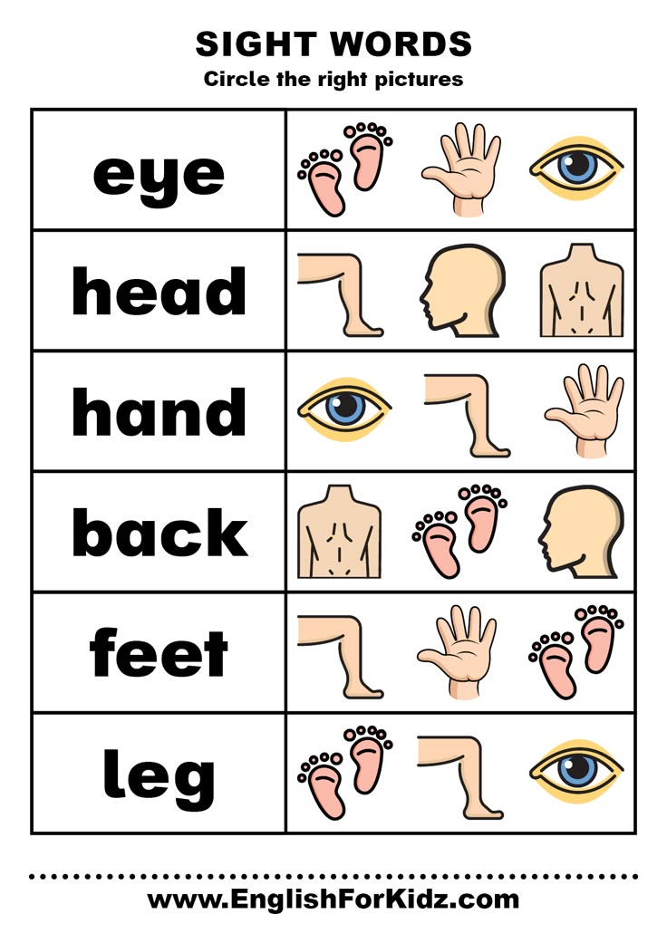 Sight words body parts - ESL worksheet Printable Sight Words, Quiet Book Printable, Learning Materials For Kids, Body Parts For Kids, Human Body Worksheets, Sight Words Worksheets, Body Preschool, Body Parts Preschool, Kindergarten Phonics Worksheets