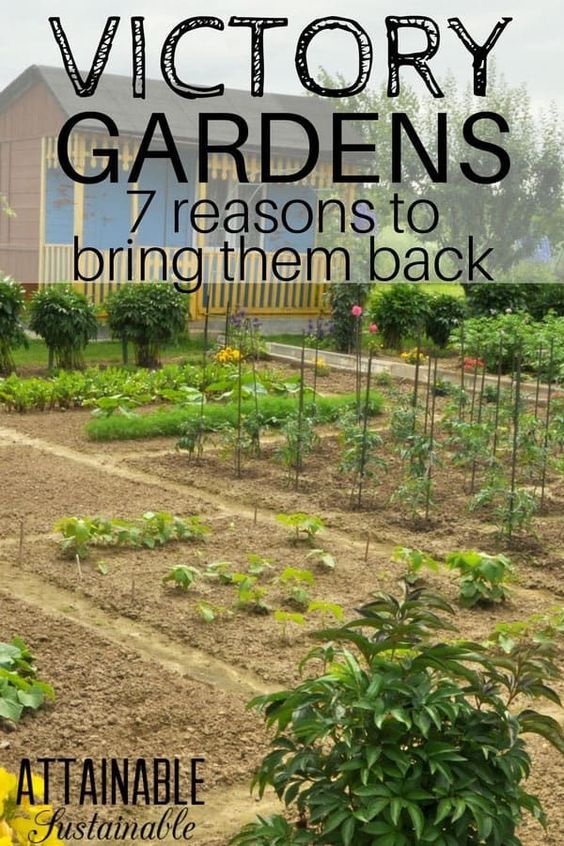 a garden with the words victory gardens 7 reason to bring them back in front of it