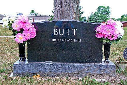 Funny Tombstones | Funny Epitaphs, Gravestones, and Headstones Funny Gravestones, Funny Tombstones, Morning Memes, The Last Laugh, Cemetery Art, Grave Markers, Morning Humor, Six Feet Under, Memes Humor