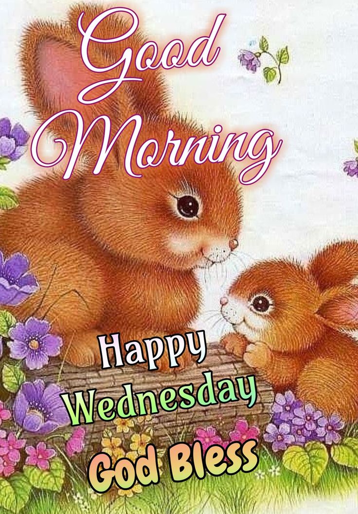 a happy wednesday card with two rabbits