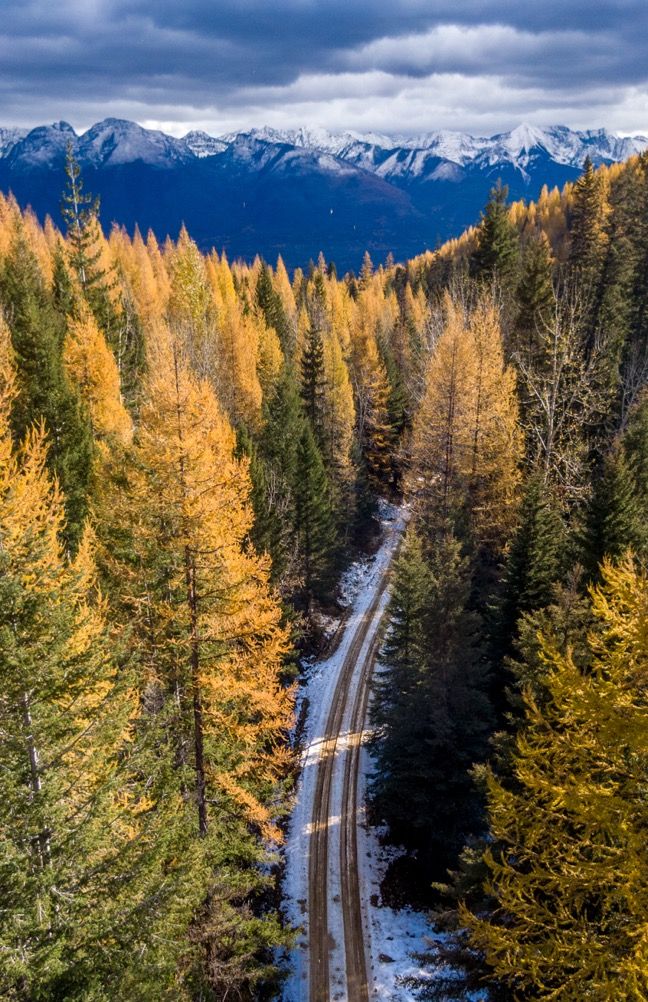 an aerial view of a road surrounded by trees with snow on the ground and mountains in the distance