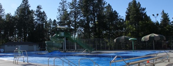 an empty swimming pool with a water slide in the back ground and trees behind it