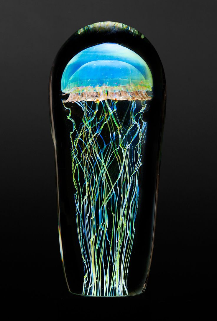 a glass vase that has jellyfish in it