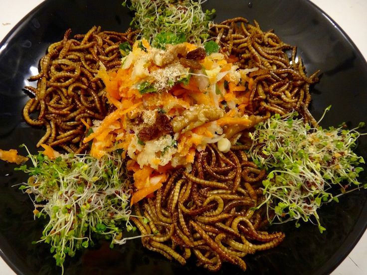 a black plate topped with lots of different types of pasta and vegtables