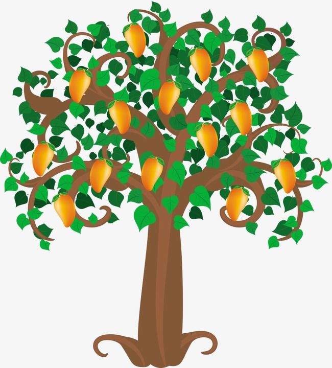 an orange tree with leaves and fruit on it