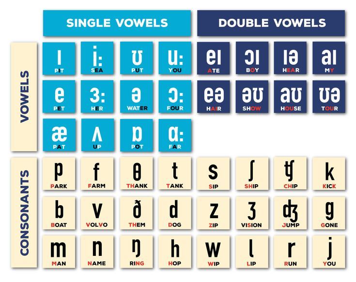 The International Phonetic Alphabet | Phonetic alphabet, Pronunciation, Ipa