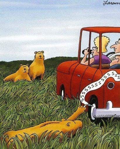 a cartoon car with people in it driving through the grass and another dog laying on the ground