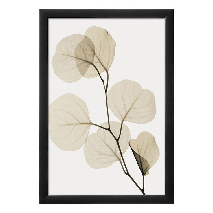 a framed photograph of leaves on a white background with black frame, in the shape of a leaf