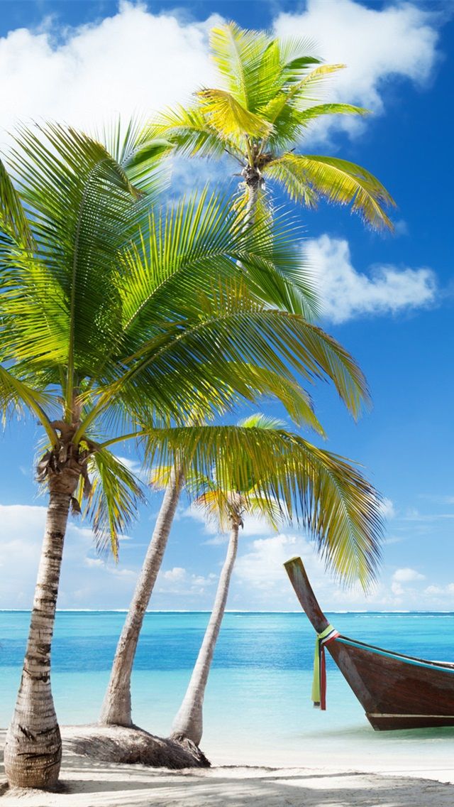 a palm tree on the beach with text overlay that reads, this tiny caribbean country is perfect for all - inclusive resort haters