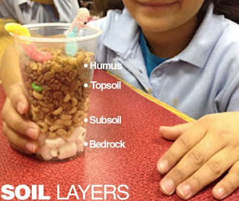 Edible soil layer activity. Students create their own visual for the different soil layers. Layers Of Soil, Soil Activities, Grade 3 Science, Education Preschool, Activities Kindergarten, 1st Grade Science, First Grade Science, Chalk Talk, Third Grade Science