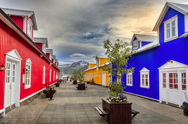 colorful houses line the street in this small town