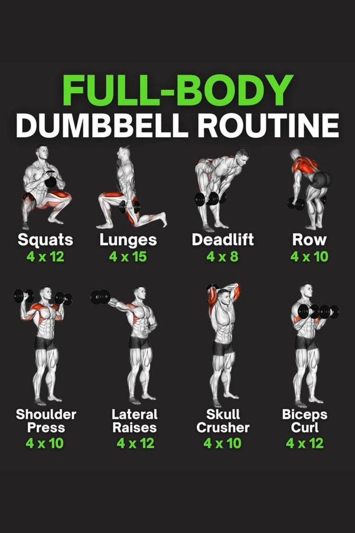 Try this dumbbell only workout if you are limited to equipment and want to build muscles. Dumbbell Workout Plan, Full Body Dumbbell, Workout Gym Routine, Full Body Dumbbell Workout, Workout Plan For Men, Gym Workout Planner, Dumbell Workout, Full Body Workout Routine, Full Body Workout At Home