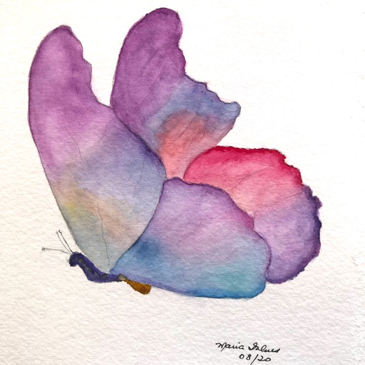 Mariposa mil colores in 2024 | Watercolor flower art, Butterfly ...