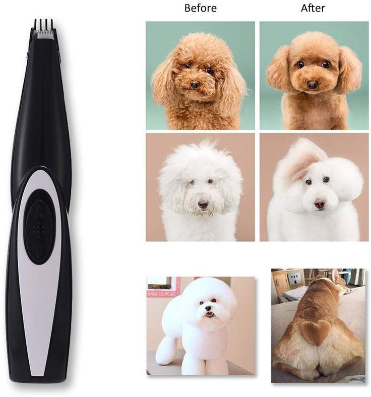 angfan pet clippers cat shaver professional hair grooming detachable blades cordless recha dog cleaning clothes medium dramatic aline hairstyles diamond face