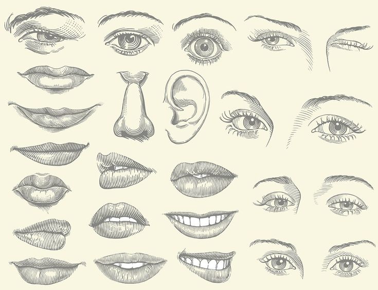 a set of different types of eyes and lips, drawn by hand with pencil on paper