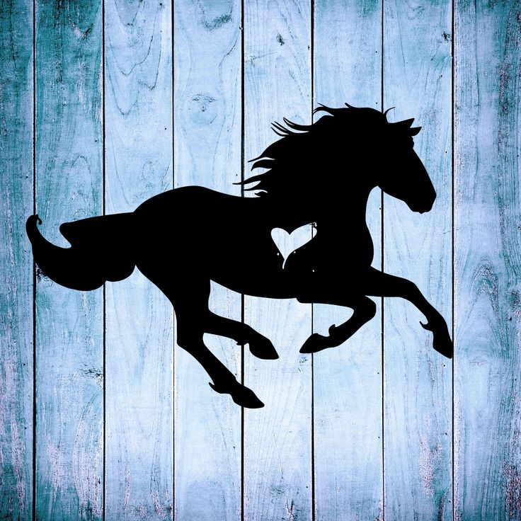 the silhouette of a horse jumping over a wooden fence is shown in black against a blue background