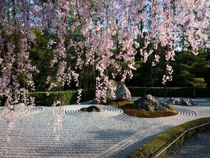 a garden with rocks and pink flowers on it