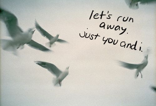 We can run away.. together.. either people can appreciate us.. if they don't then good riddens... We love each other.. the only person who opinion we should worry about is ours! It no ones business but ours! I LOVE YOU.. and you know you love me! Lonely Wolf, We Love Each Other, Just You And Me, Clever Quotes, A Sheep, Love And Lust, Mind And Soul, Breakup Quotes, The Sheep