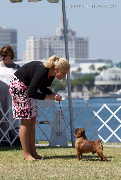 a woman bending over to pet a dog on a leash in front of the water