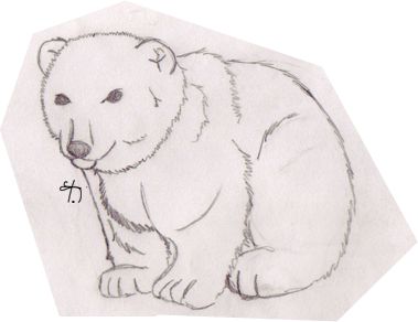 a drawing of a polar bear sitting down