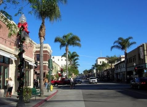 palm trees line the street in front of shops