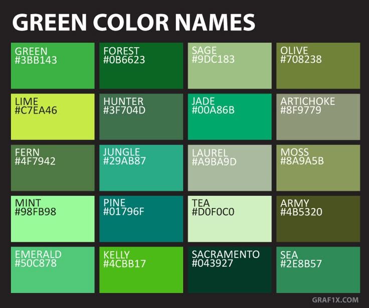 chart of 20 green shades, tones and tints with color names and hex codes. Green Colors Shades, Green Names, Green Colour Images, Brown Color Names, Olive Board, Green Hex Code, Green Color Names, Names Of Colors, Different Greens