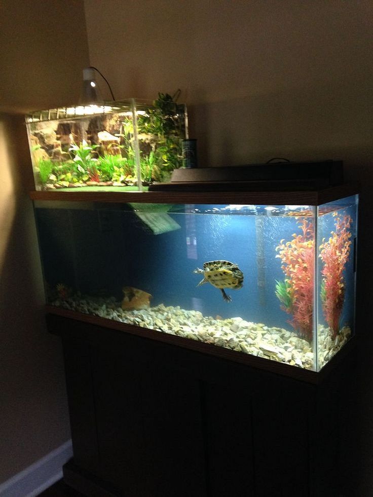 a fish tank sitting on top of a wooden table