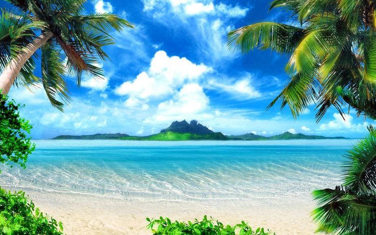 an image of the beach with palm trees and blue water in the foreground on a sunny day