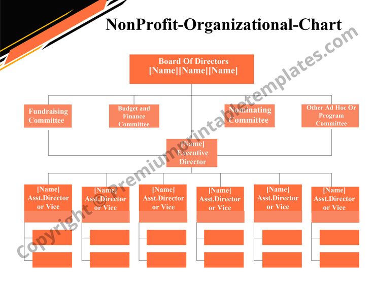 a organizational chart with orange and black lines on the bottom, below it is an image of