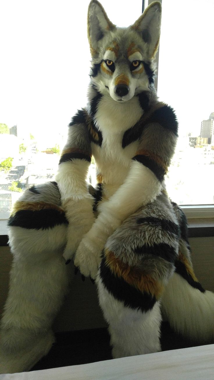 a stuffed fox sitting on top of a window sill next to a window pane