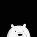 icebear1029