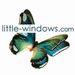 littlewindows