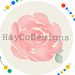 haycodesigns