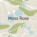 ShopMossRose