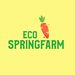 ecospringfarm