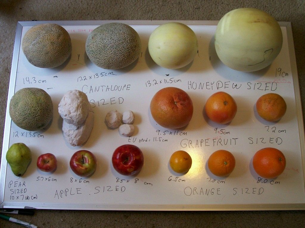 Uterine Fibroid Size Chart In Mm