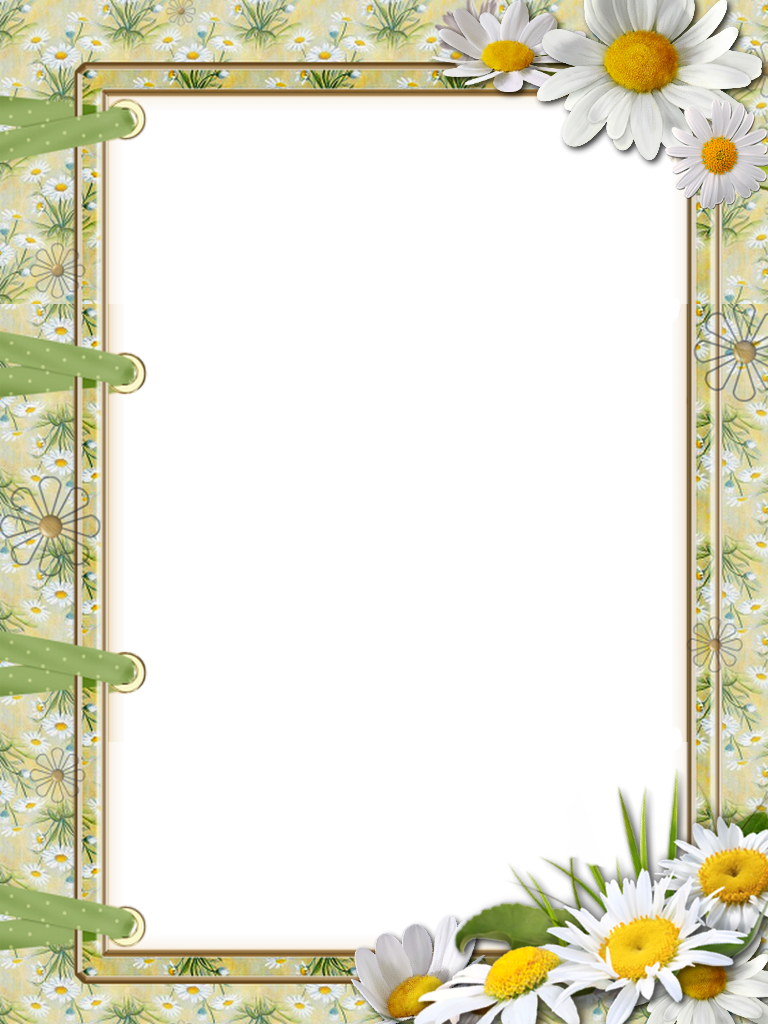 Floral Frame PNG | Beautiful Borders and Frames