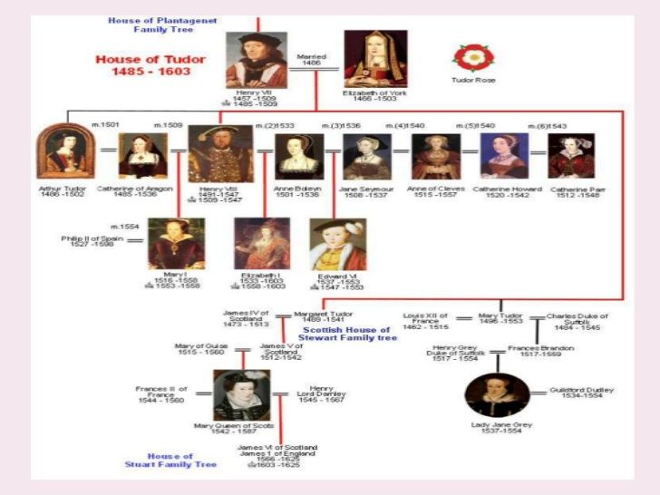 Tudor Dynasty Timeline Pictures to Pin on Pinterest - PinsDaddy ...